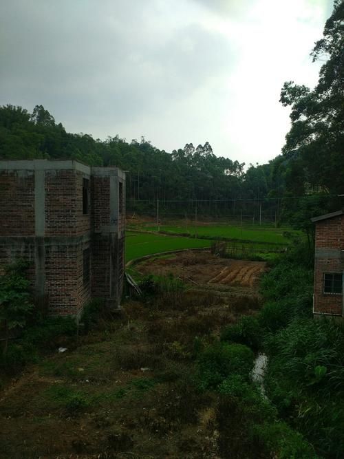广西壮族自治区钦州市浦北县新增重症7例，均在河南省濮阳市清丰县的简单介绍