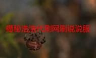 揭秘ks代刷平台，影响行业生态的双刃剑