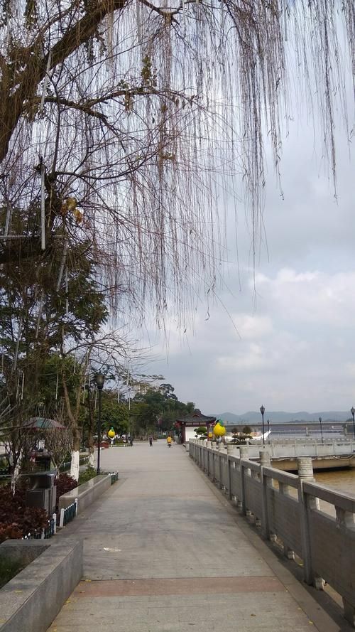 广西壮族自治区玉林市容县封城区死亡病例详情_玉林容县最新新闻