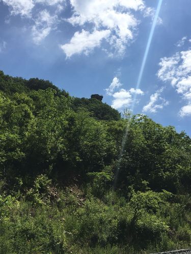 南芬区现有核酸阳性4例(南芬区天气分时预报)