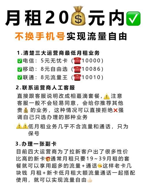 解密抖音业务自助网，如何免费获取资源与流量