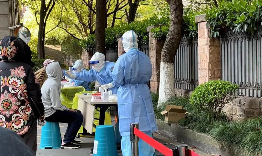 【专家:上海长宁区每年或现多个感染高峰_上海长宁新增】