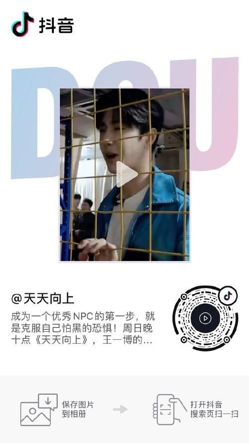 探索DY粉丝平台，一站式多平台粉丝互动体验