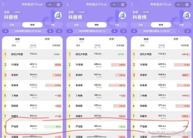 抖音一元100个粉丝，虚假繁荣还是营销捷径？