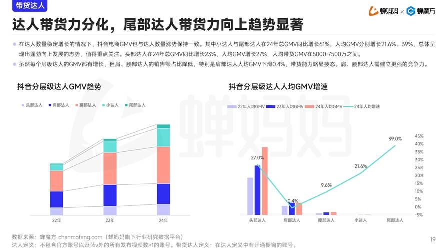 深度解析，抖音粉丝平台网站的兴起与未来趋势