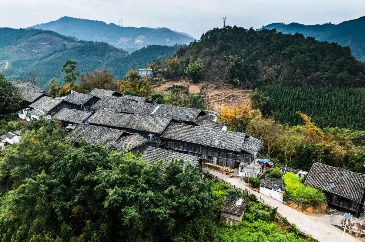 【31省份新增重症22例均在广西壮族自治区百色西林县_广西西林县最新新闻】
