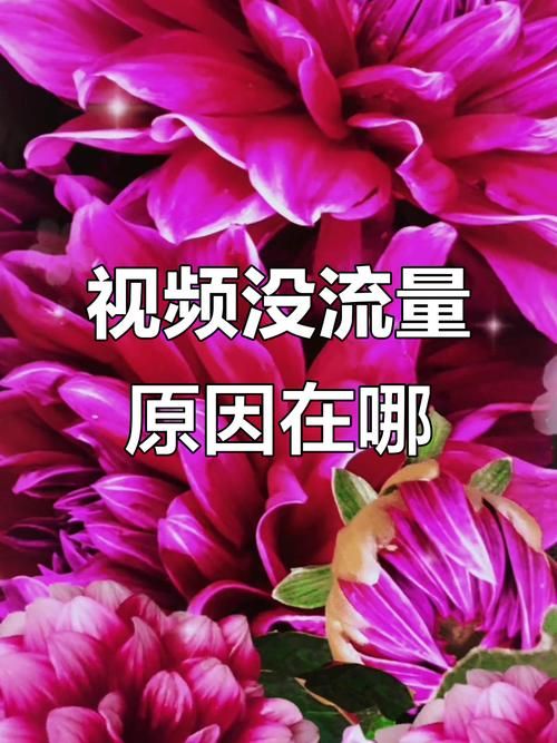 揭秘！抖音业务全网最低价十二出品网背后的秘密