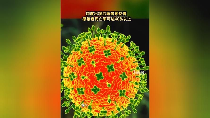 多地近期新增10例境外输入(多地近期新增10例境外输入感染者)