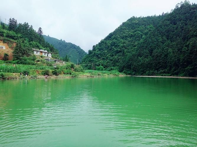 广西壮族自治区贺州富川瑶族自治县新增4例阳性感染者及8例无症状的简单介绍