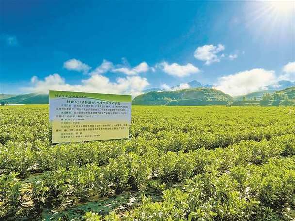 【四川省阿坝藏族羌族自治州松潘县现有重症1例,阿坝州松潘县的简介】