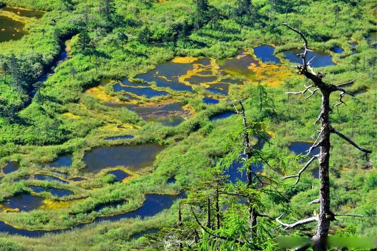 6地新增阳性感染者7例均在贡山独龙族怒族自治县(云南贡山县独龙族)