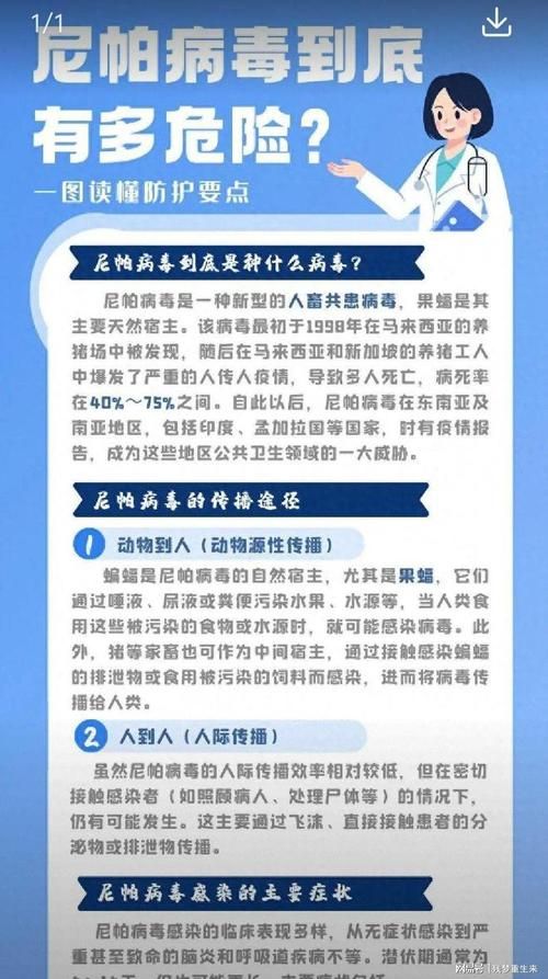 9地疫情存反弹风险(多地发生疫情反弹)