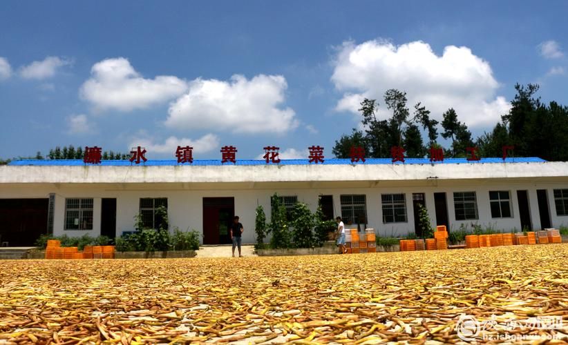 南郑区静默标准最新公布_南郑区 最新
