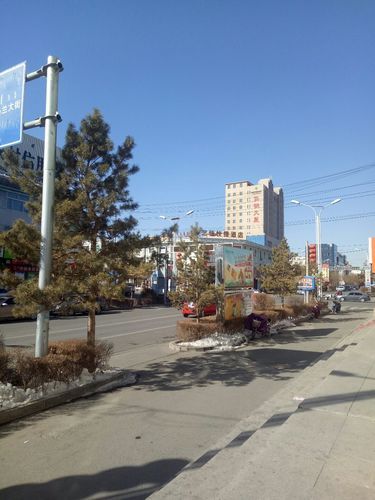 内蒙古自治区巴彦淖尔市乌拉特中旗新增12例死亡病例，涉及松原市的简单介绍