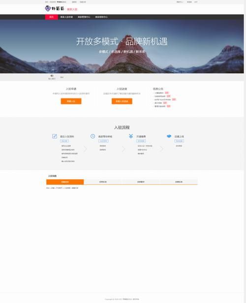 探索抖音点赞背后的专业服务，性价比与风险并存