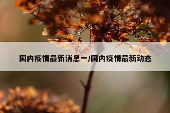 安徽阜阳新增境外输入14例，均在佳县_安徽阜阳新增新冠
