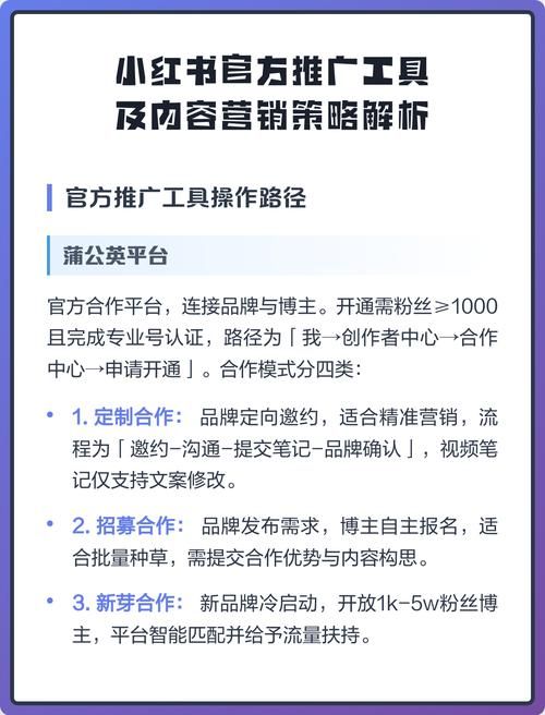 揭秘自助粉丝平台，如何最大化利用这一营销工具