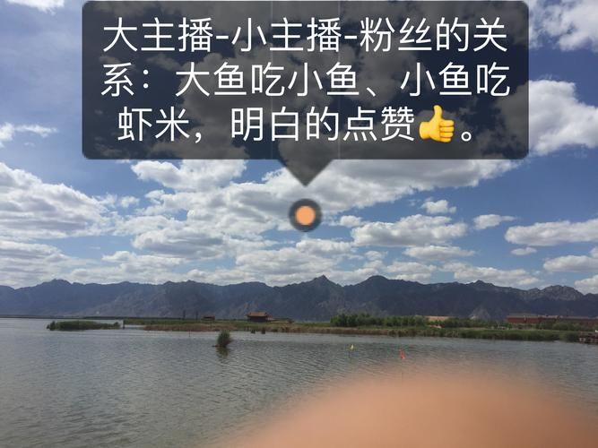 快手1元100赞秒赞:揭秘教程【运营软件教程分享】