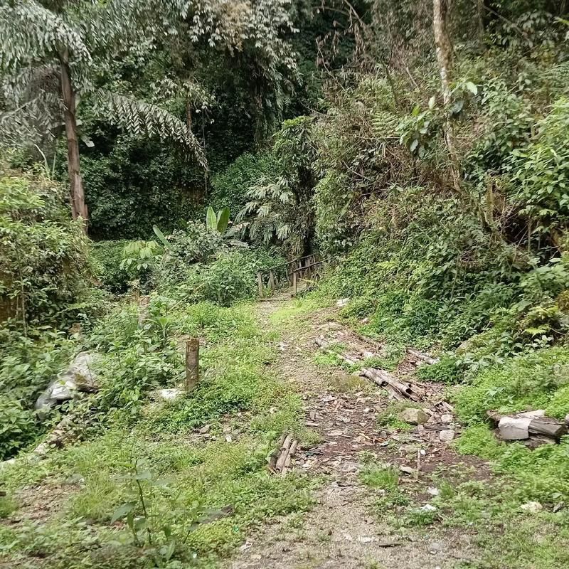 【贡山独龙族怒族自治县什么时候可以解封_贡山独龙江最新路况】