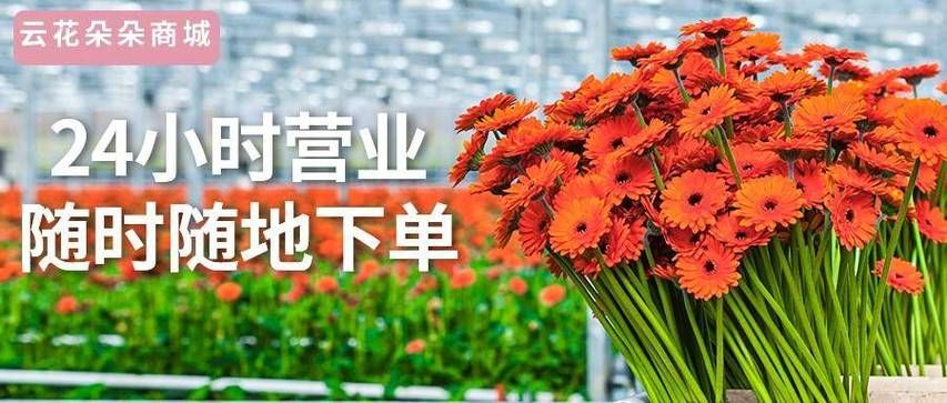 24小时业务自动下单平台/今日推荐