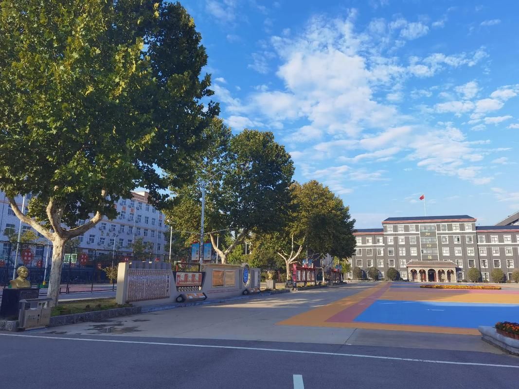 【河南周口淮阳区疫情静默最新消息,河南省周口淮阳有新冠病毒吗】
