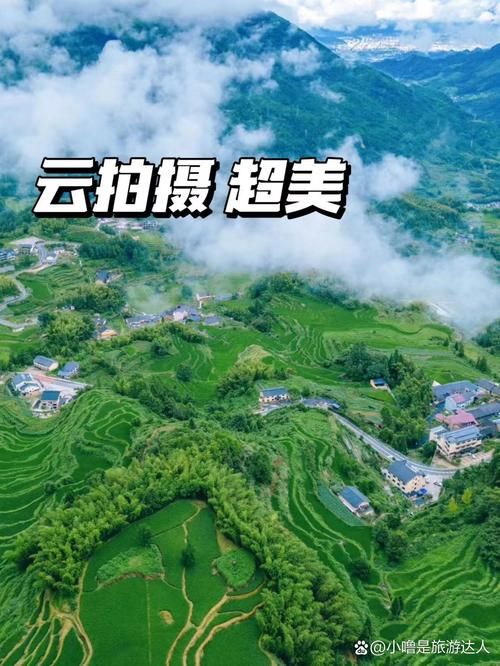 【浙江丽水云和县昨日无新增本土确诊,丽水市云和县是哪个省】