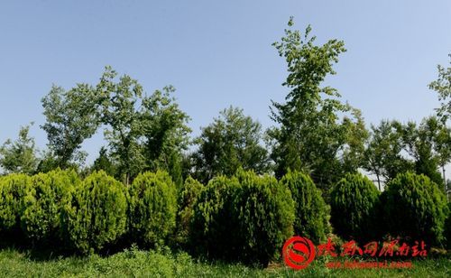 【陕西省渭南市临渭区什么时候可以解封,陕西临渭区封城了吗】