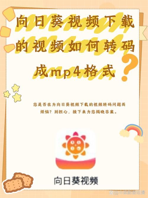 10000个播放量:安装程序教程真可以装助手