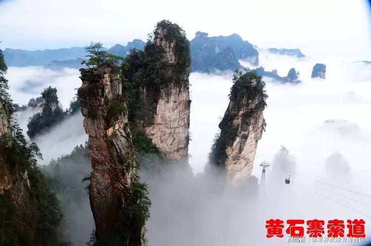 【湖南张家界武陵源区8月31日死亡病例曲线图表,湖南张家界疫情死亡】