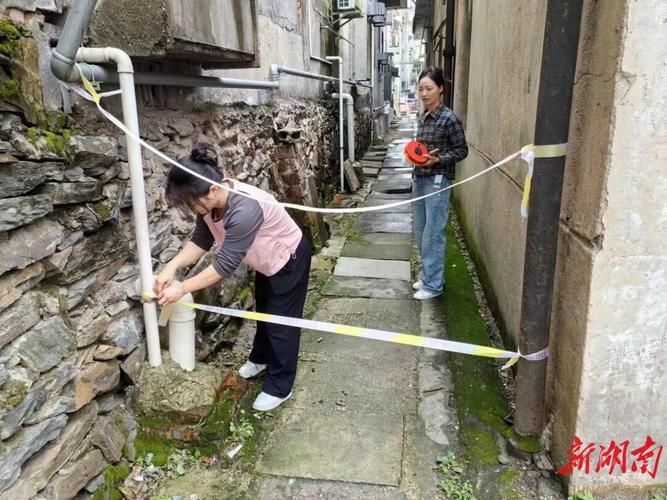 【云溪区疫情解封最新消息,云溪状况】