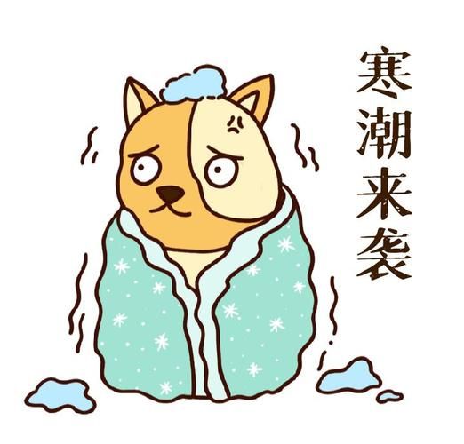 河南省安阳市安阳高新技术产业开发区今冬新增13例本土确诊/河南省安阳市高新技术产业开发区平原路南段461号