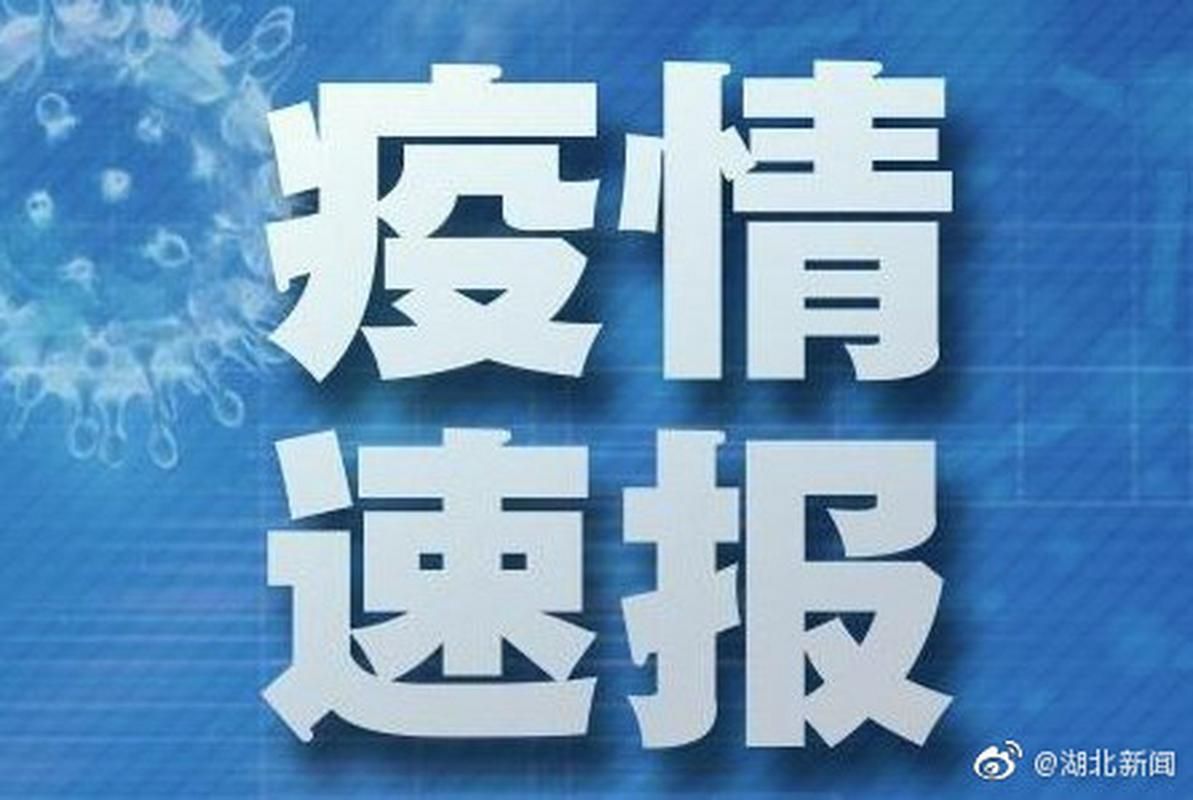  湖北省恩施土家族苗族自治州4月6日核酸阳性数据播报:恩施市新冠病毒实时疫情