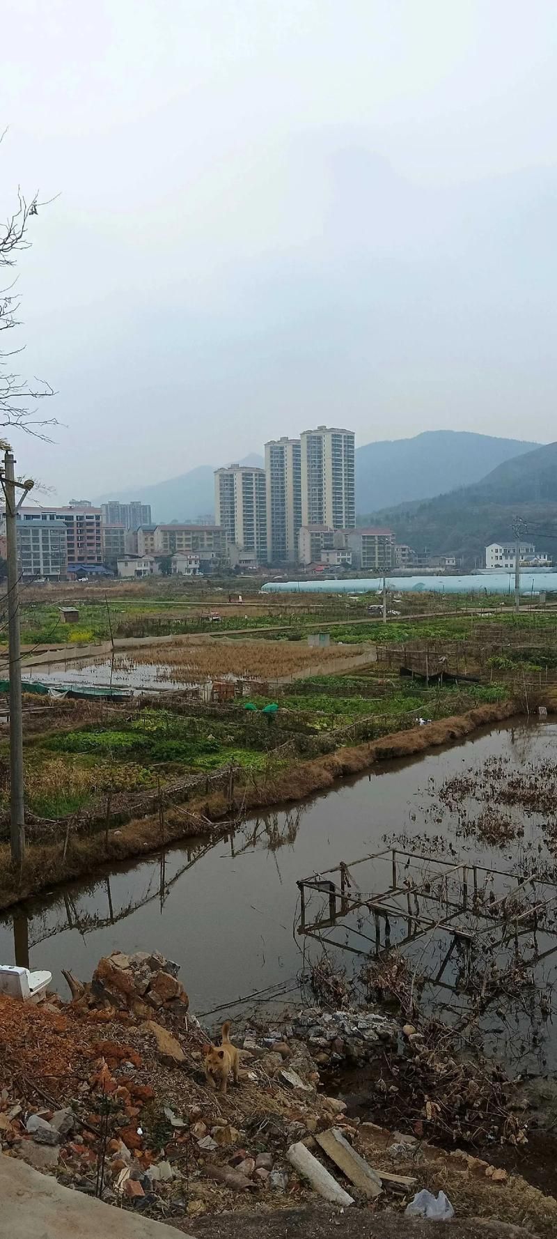  湖南省永州市双牌县昨日新增核酸阳性22例:永州双牌哪里好玩