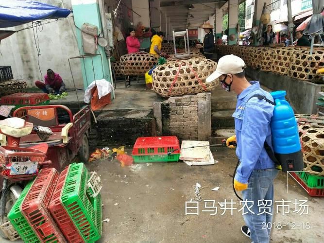 【海南儋州白马井镇首例核酸阳性来源公布_海南省儋州市白马井镇肺炎人数】