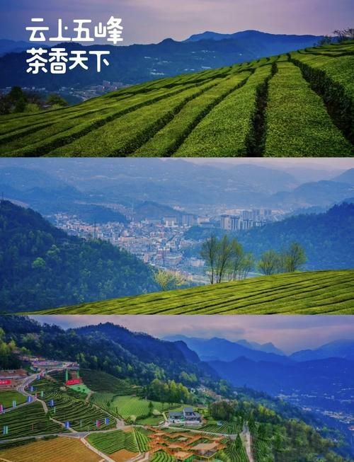 【湖北省宜昌市五峰土家族自治县今冬新增14例无症状感染者,宜昌五峰今日新闻】