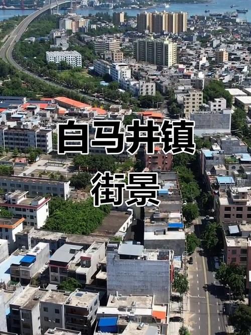 海南儋州白马井镇什么时候可以足不出户(海南儋州市白马井镇介绍)