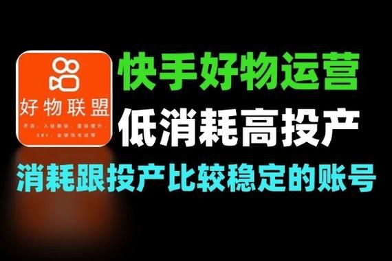 快手低价业务网：分享技术