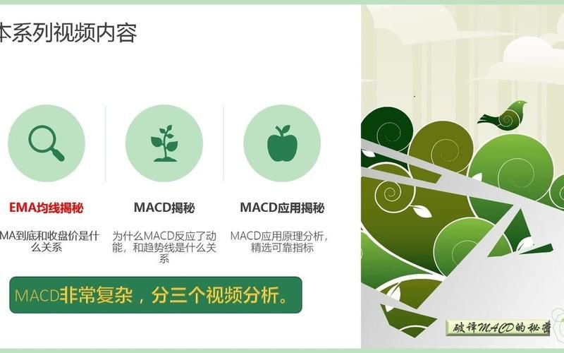 bilibili业务网:揭秘在线详细24自助教程