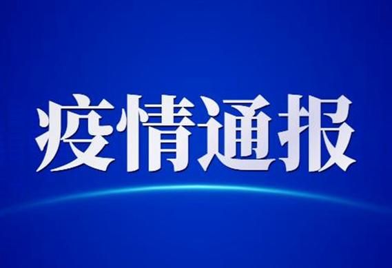 安徽省安庆市怀宁县最新曲线图表：寻找同轨迹人员_安庆怀宁新型冠状病毒病例