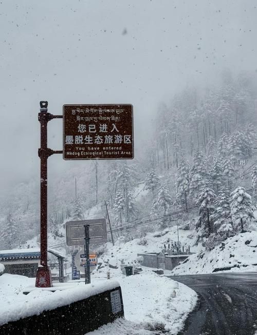 【专家:西藏自治区林芝市墨脱县每年或现多个感染高峰_林芝墨脱县路况怎么样】