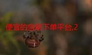 Ks24小时秒单业务平台：一分钟带你秒懂