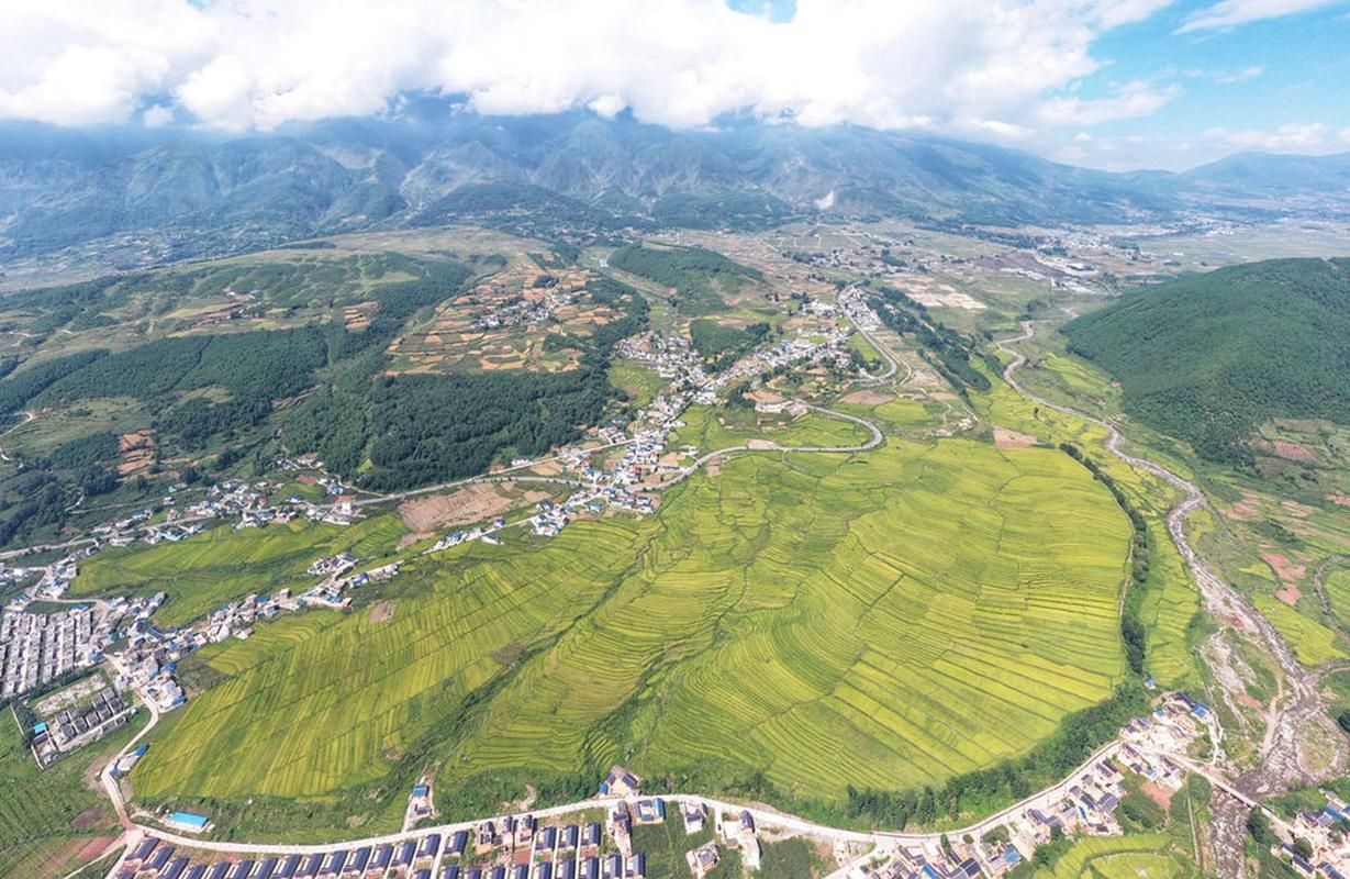 一张图看懂四川省凉山彝族自治州普格县昨日疫情通报/凉山普格县县城图片