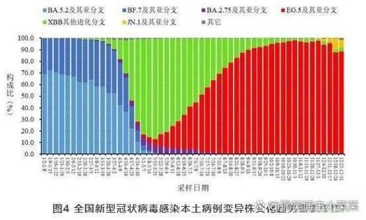 全球新增11例无症状感染者及13例无症状/全球新增确诊病例统计数据