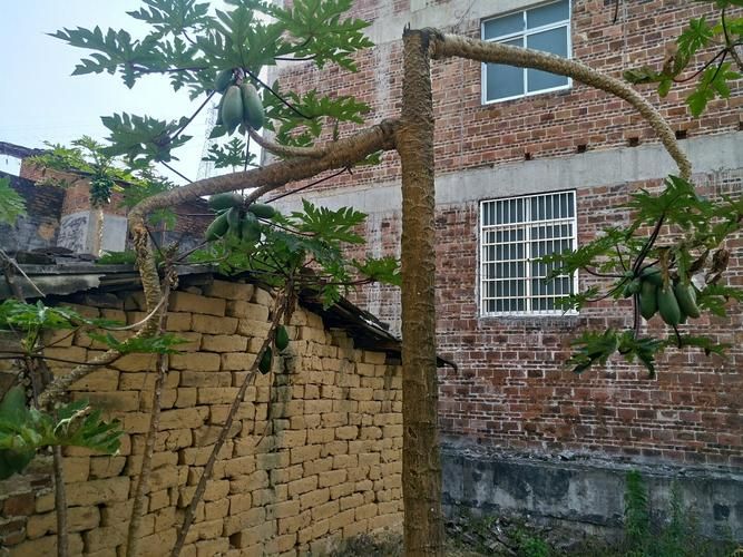 【广东省茂名市信宜市足不出户标准最新公布_广东茂名信宜很穷吗】
