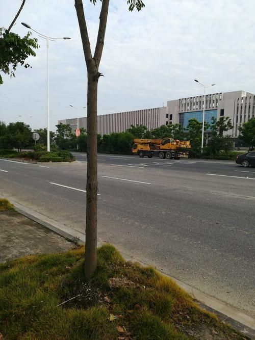  湖南省岳阳市君山区封城标准最新公布:岳阳君山今日要闻