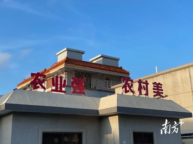 濠江区近期新增破10/濠江区最新消息