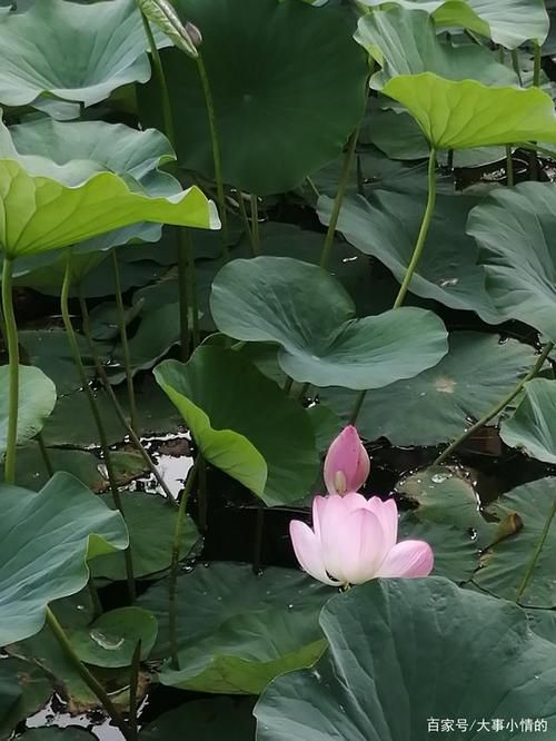 【预计近期双塔区二次疫情回落_双塔区防疫站在什么地址】