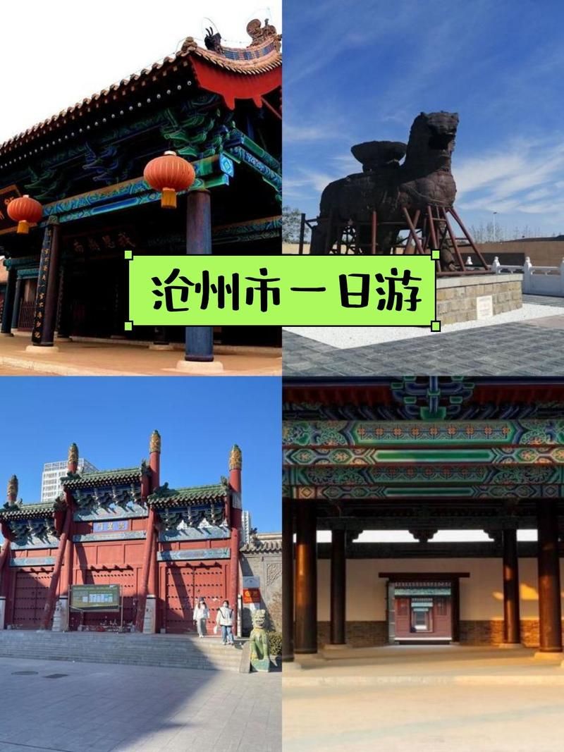  一张图看懂河北省沧州市河间市近6天活动轨迹:沧州河间新冠