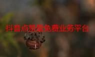 ks业务平台的流量-可以工具教程