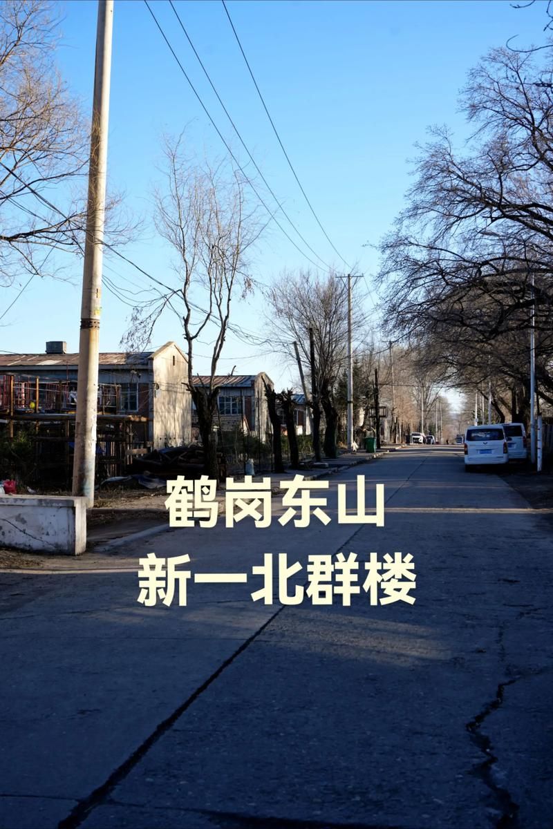 黑龙江省鹤岗市东山区封城标准最新公布(鹤岗市封路)